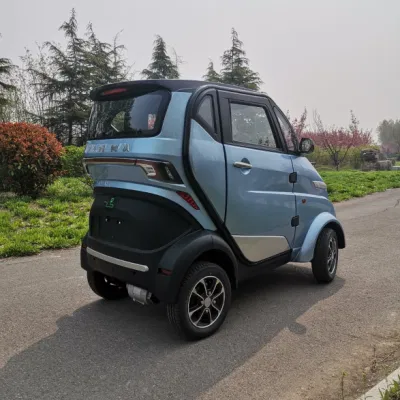 Runhorse L6e EEC Approved Mini Electric Car