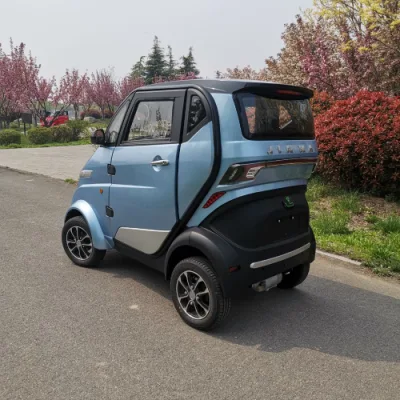 Runhorse L6e EEC Approved Mini Electric Car