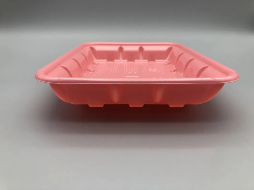 China Eco Friendly Disposable Fruit Meat Vegetable Packaging Blister Square PP Plastic Food Tray for Supermarket