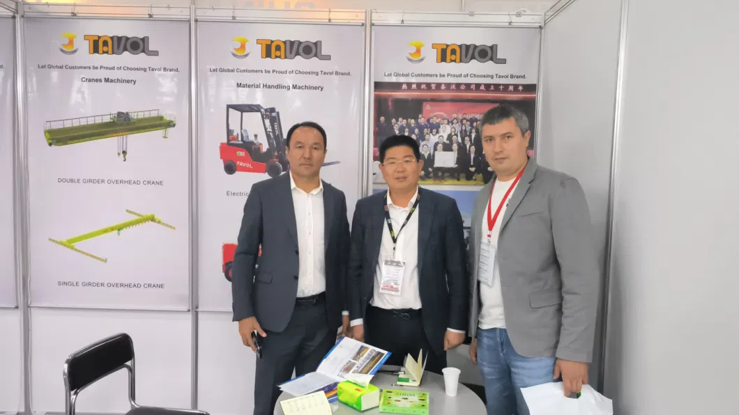 Tavol Brand China Skid Steer Loader Hot Sales in Russia