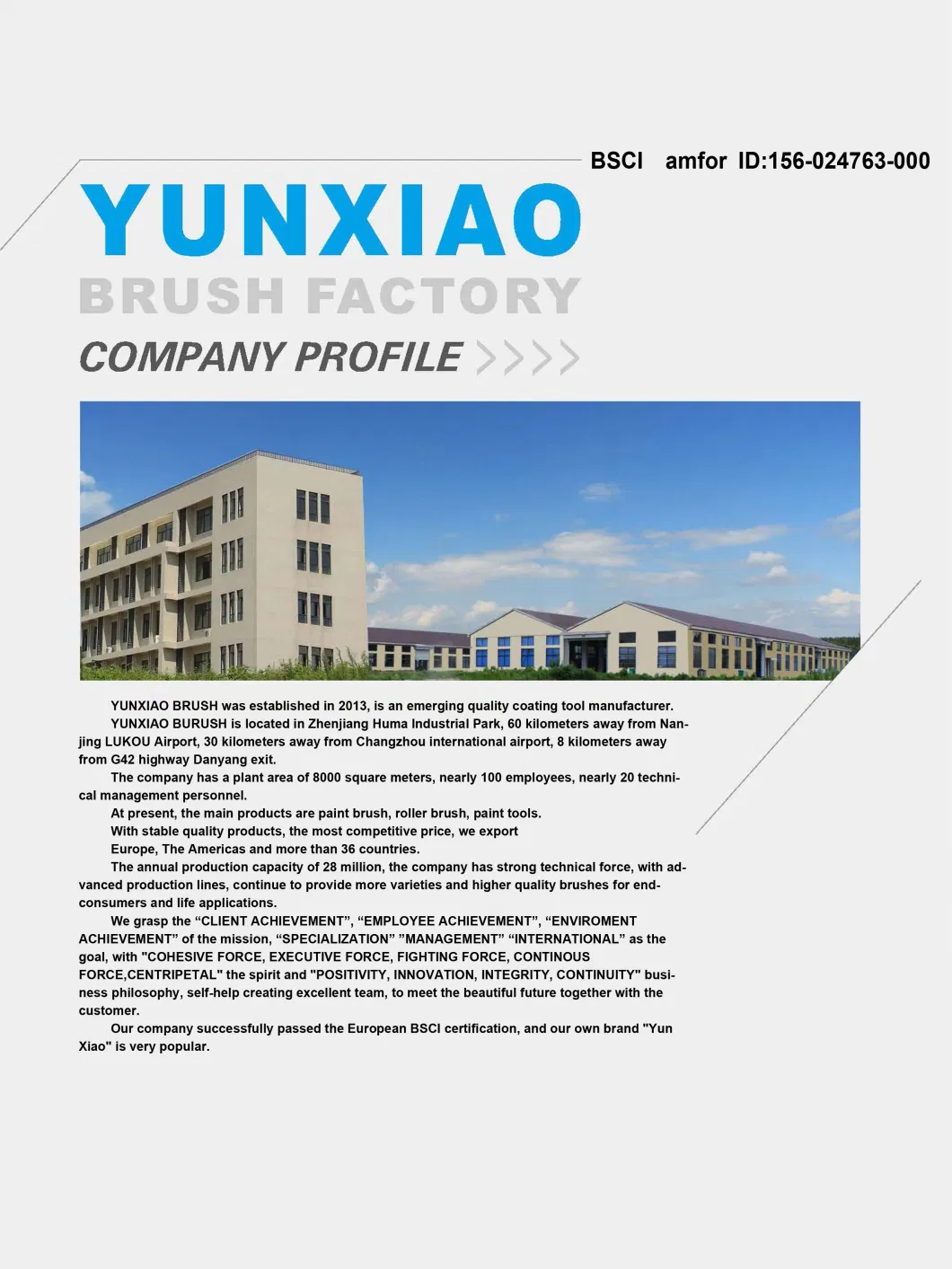 Yunxiao Tools Factory Aluminium Extension Poles for Painting and Cleaning