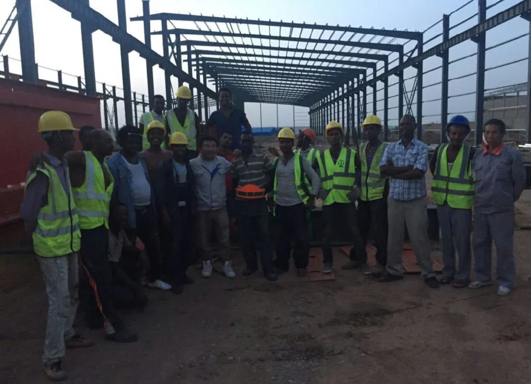 North Africa Steel Structure Logistic Workshop Project Construction