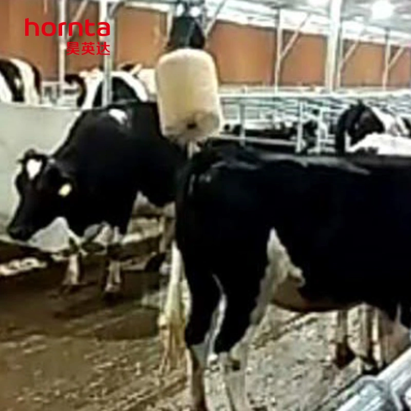 Multi-Angle Body Brush for Cow, Cattle Brush