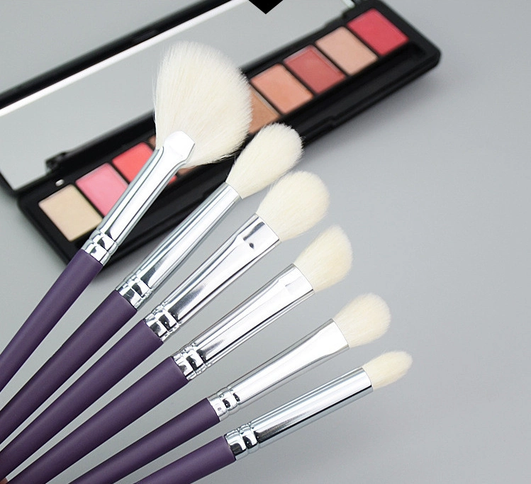 Wholesale Eye Makeup Brushes for Beginners 6PCS Fluffy Makeup Cosmetic Brush