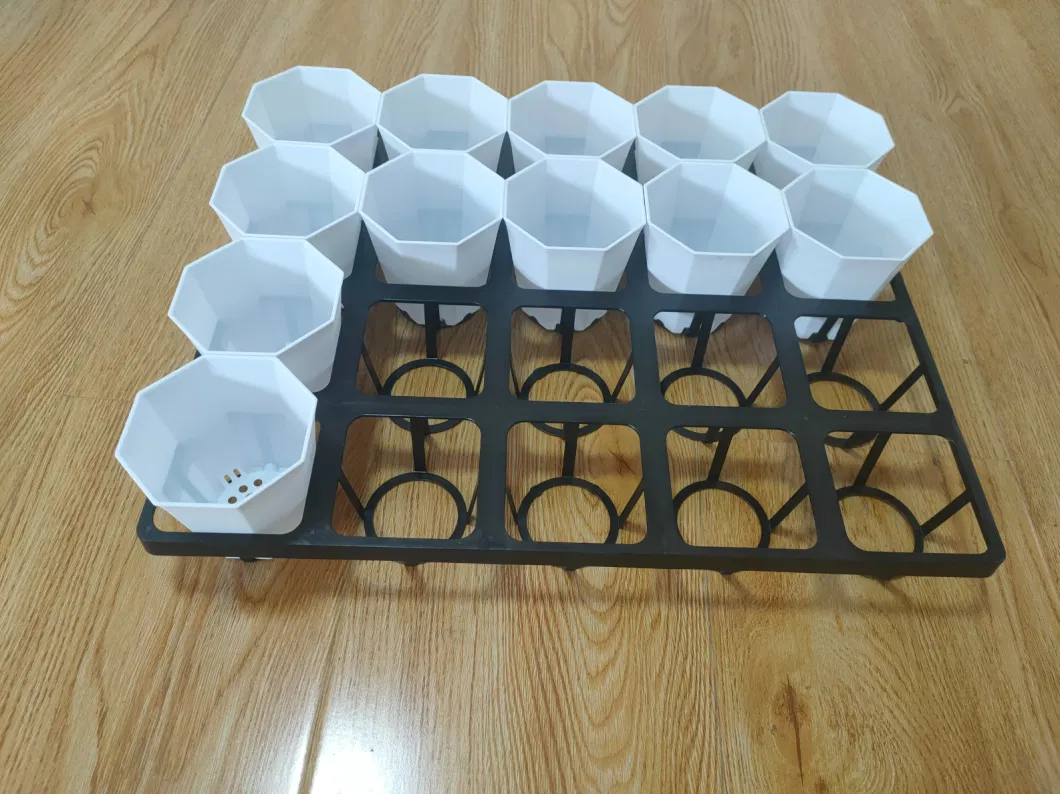 Customized OEM ODM Factory Directly Sales Wholesale Plastic Tray for Succulent Pots Plastic Flower Pot