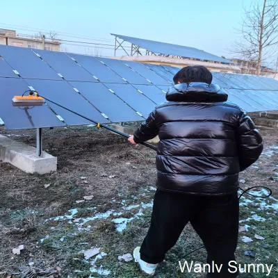 10 giorni consegna Solar pannello Lavaggio spazzola pulizia manuale spazzola Per Porte finestre pareti in vetro soffitti pulizia e lavaggio