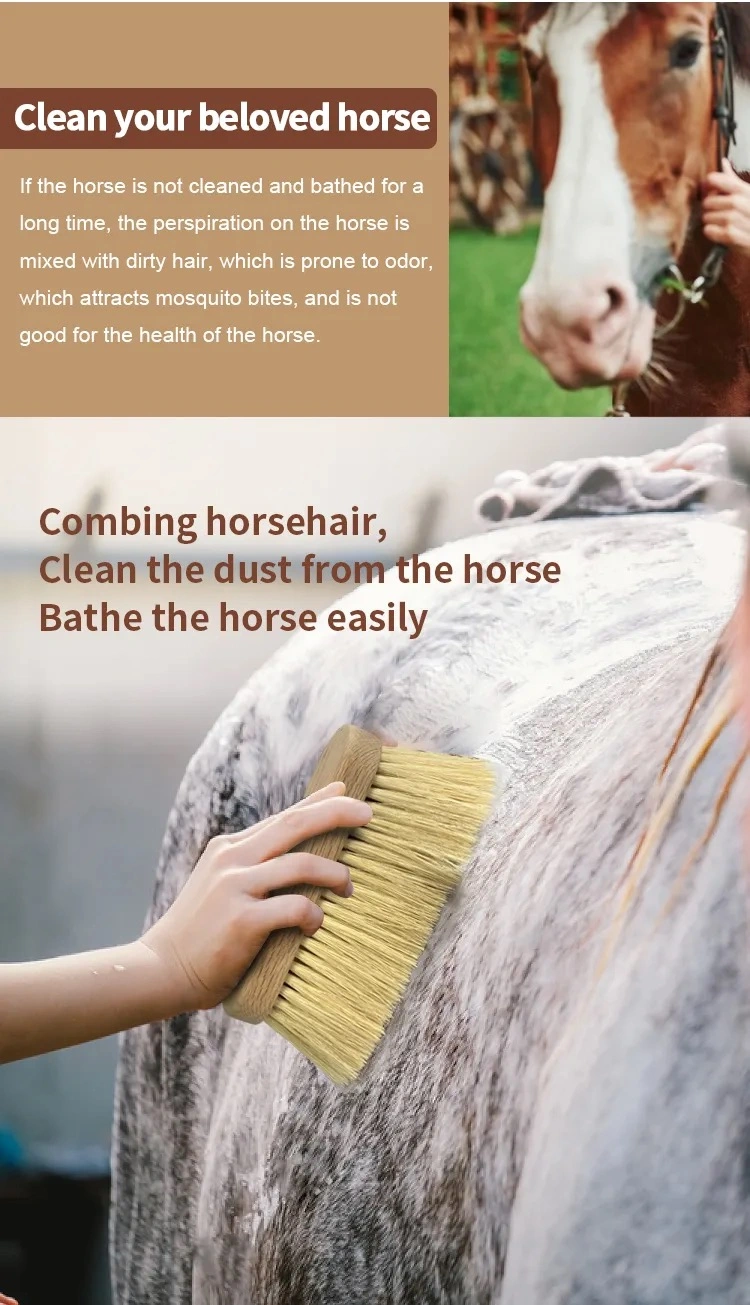 Custom Made Direct Manufacturer Horse Care Products Round Wood Horse Equipment Grooming Brush