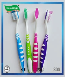 Charcoal Bristle Toothbrush, Adult Toothbrushes